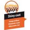 Shiny-Coat