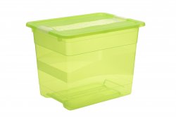 Keeeper Transparetní úložný box cornelia, zelený 24L