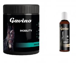Gavino Mobility pro koně 700g + Gavino Gel MSM+Rozmarýn 500 ml