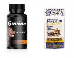 Gavino PREVENT 120cps + PlaqueOff Dental Bites 60g