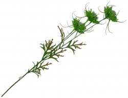 Green Thistle; s drátem, cca. 40 cm