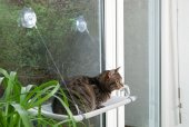 Karlie odpočívadlo na okno pro kočky 51,5x31x2,5cm