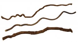 Lucky Reptile Asijské liány Tenká cca 100 cm
