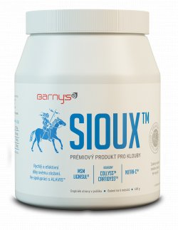 Barny's Sioux MSM 600 g