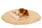 Karlie interaktivní dřevěná hračka pro hlodavce, 30x15x6cm