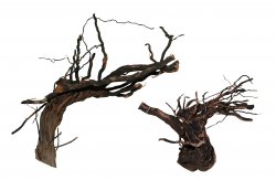 Lucky Reptile Grapevine – pískované kořeny 30 cm