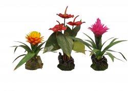 Lucky Reptile Jungle Plants kvetoucí Orchidej - červená cca 40 cm