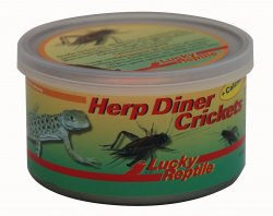Lucky Reptile Herp Diner - cvrčci 35g 35g - malí