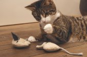 Beeztees Minus One Hračka pro kočky myš Coda 9,5x9x2,5cm