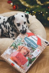 Beeztees Adventní kalendář pro psy