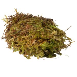 HabiStat Sphagnum Moss 12kg